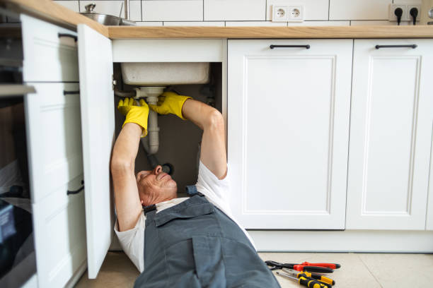 Best Plumbing Inspection Services  in Lemont Furnace, PA